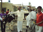 Animal Health Camp