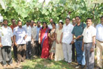 Animal Health Camp
